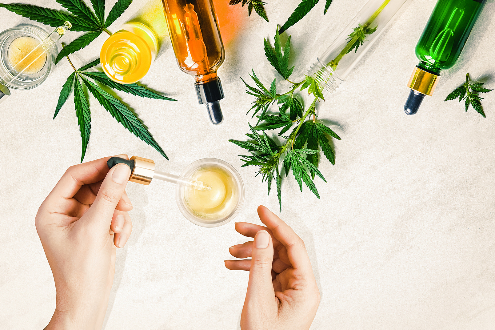 cbd oil extraction equipment