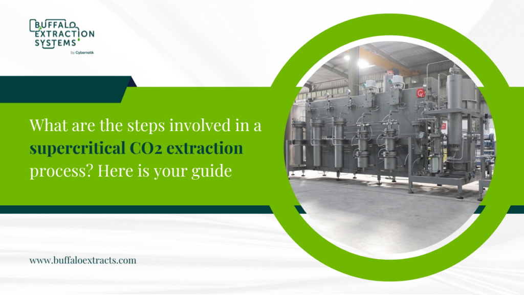 What Are the Steps Involved in a Supercritical CO2 Extraction Process Here is Your Guide