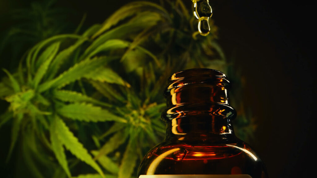 cbd oil extraction equipment