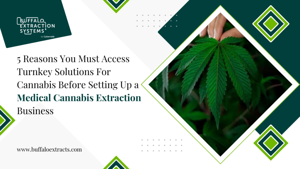 5 Reasons You Must Access Turnkey Solutions For Cannabis Before Setting Up a Medical Cannabis Extraction Business