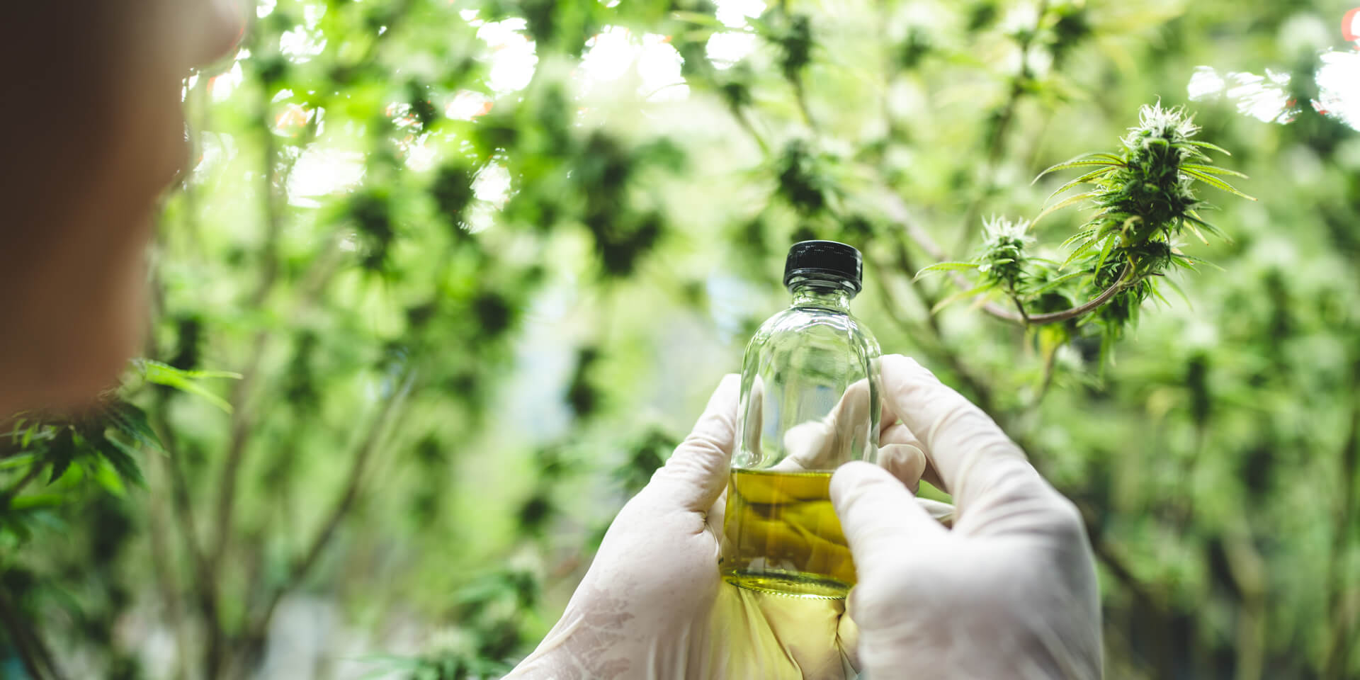 supercritical fluid extraction co2