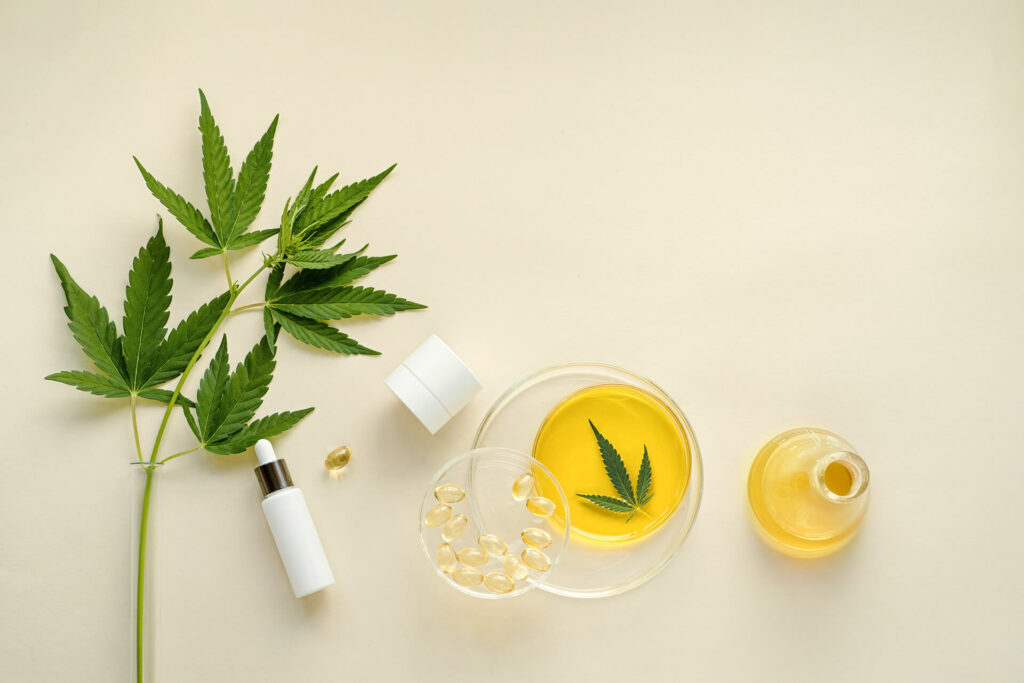 cbd oil extraction equipment