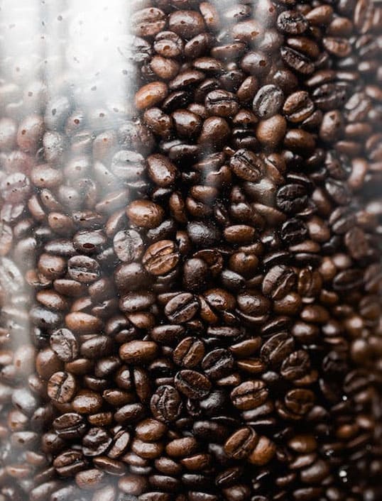 coffee oil extraction