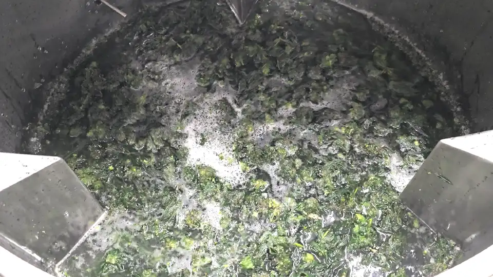 supercritical co2 extraction